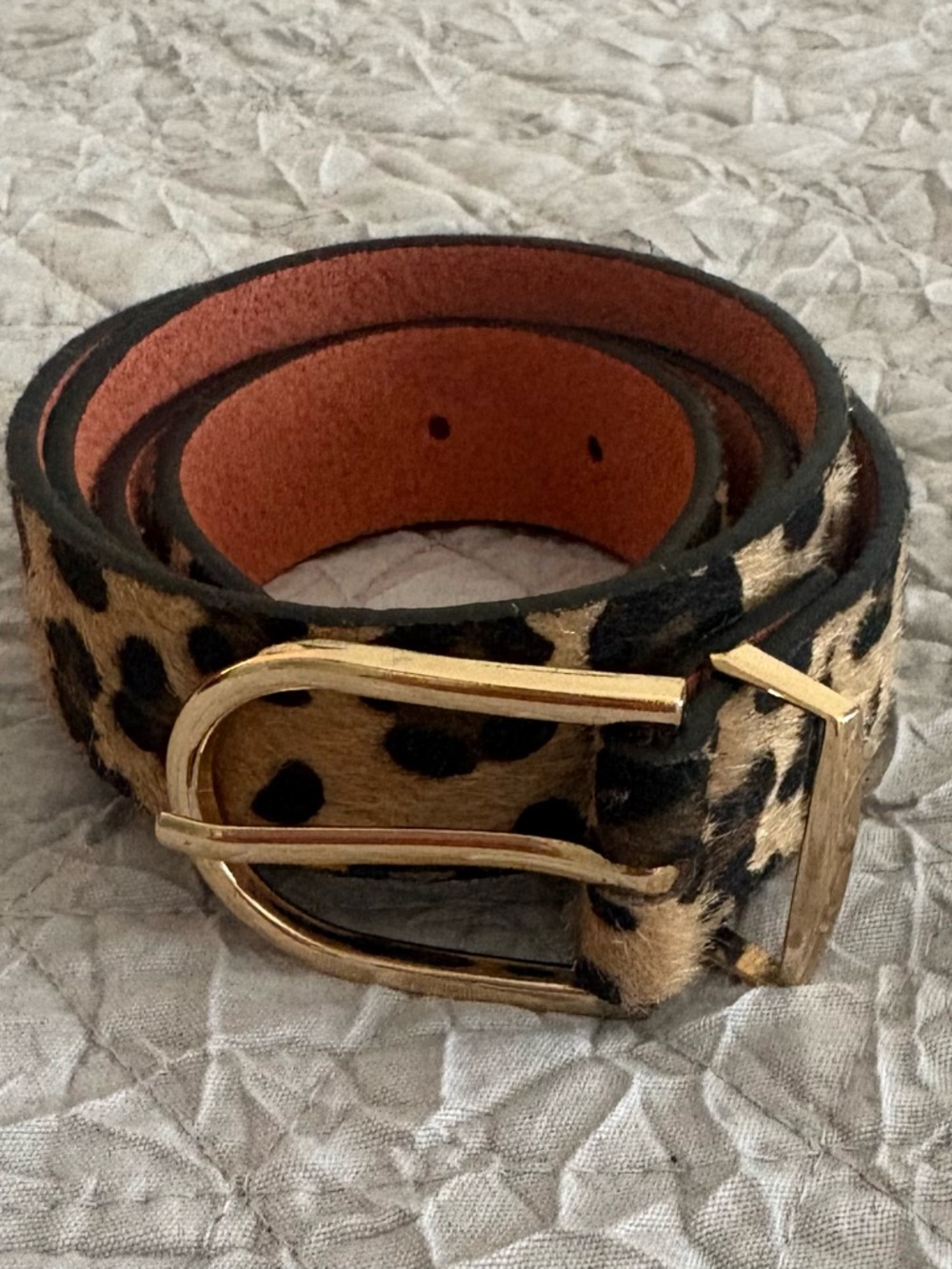 Women's Leopard Print Haircalf Belt with Gold Buckle Statement Animal Print Belt